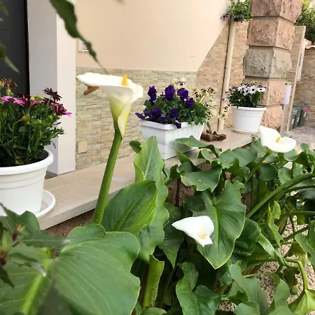 Bed & Breakfast Le Tre Bi Bosa