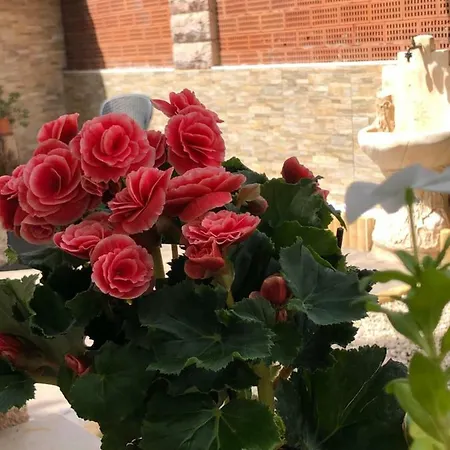 Bed & Breakfast Le Tre Bi *