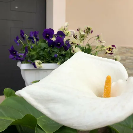 Le Tre Bi Bed and breakfast *